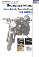 Reparaturanleitung RIS für