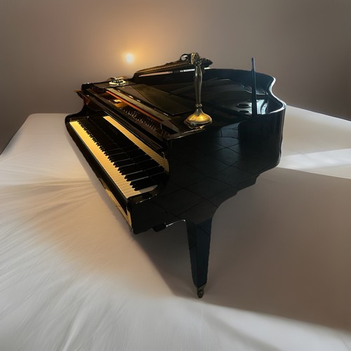 Kawai 2008 top - kawai, 30