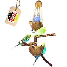  Vogelspielzeug Vogelspielplatz Wellensittich Spielzeug Nymphensittich