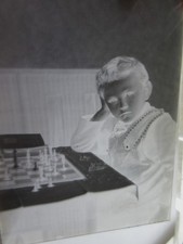 tolle  Foto - Glas - Platte