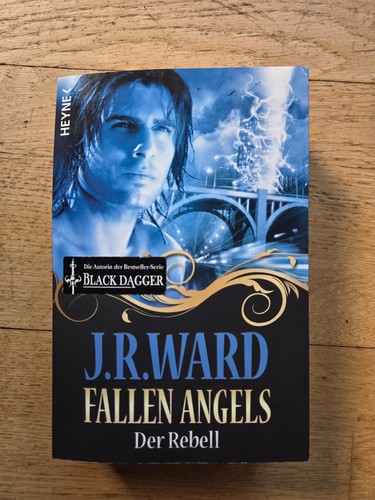 Fallen angels der rebell - -,