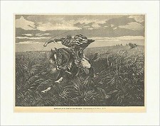 Gaucho malco auf der Flucht