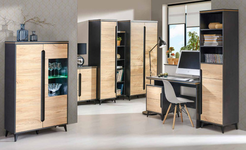 Moderne büro zimmer - moderne,