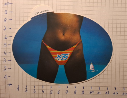 Aufkleber hifly - "hifly,