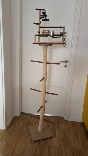 Kletterbraum vogel vogelbaum - kletterbraum,