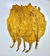 Virginia Gold Tabakblätter