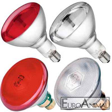 PHILIPS 230 Volt Rotlichtlampe Infrarotlampe Sparlampe Infrarotbirne Heizlampe 