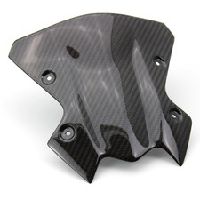 Carbon Windschutzscheibe für