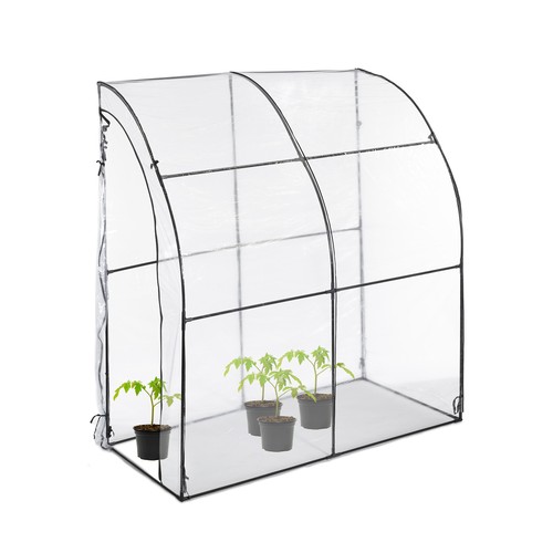 Tomatengewächshaus