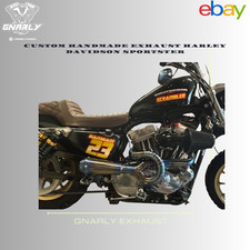 Custom 2-1 Gold Auspuffanlage