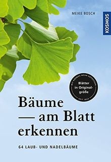 Bäume blatt erkennen 64 - am,