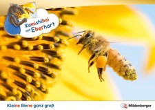 Kamishibai mit Eberhart -