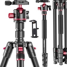 173cm Professionelles