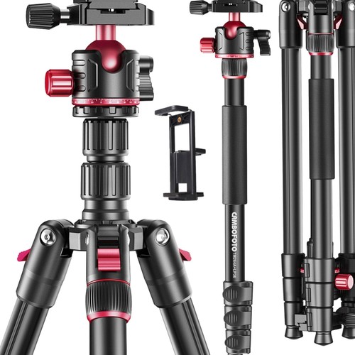 173cm professionelles - 173cm,