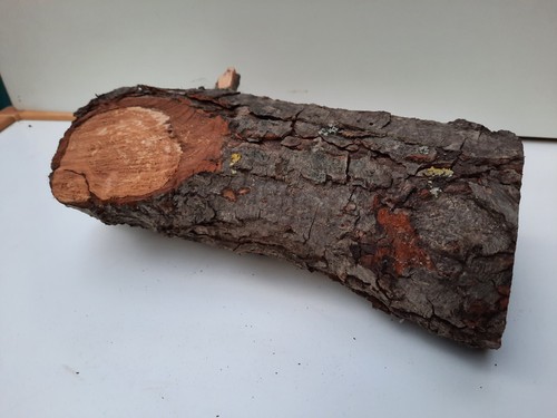 Drechsel holz 8 cm - drechsel, 22