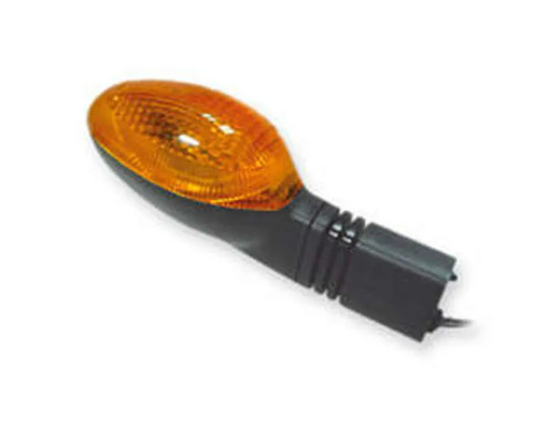 Blinker hinten rechts