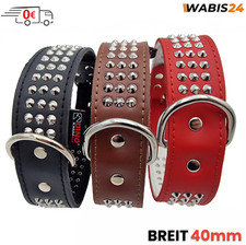 Hundehalsband Nieten