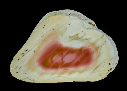 Royal imperial jasper jaspis - royal,