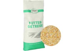 Maisschrot ohne Gentechnik 25 kg Maisbruch Bruchmais Nager Pferde Geflügelfutter