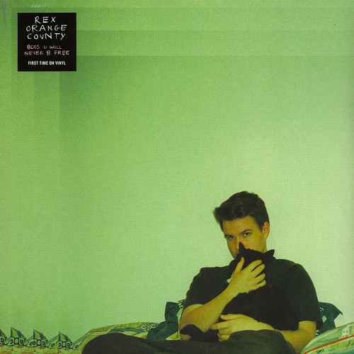 Rex orange county bcos u - rex,