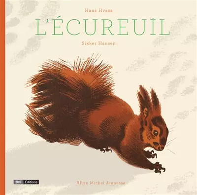 Ecureuil hank hvass - l'ecureuil,,