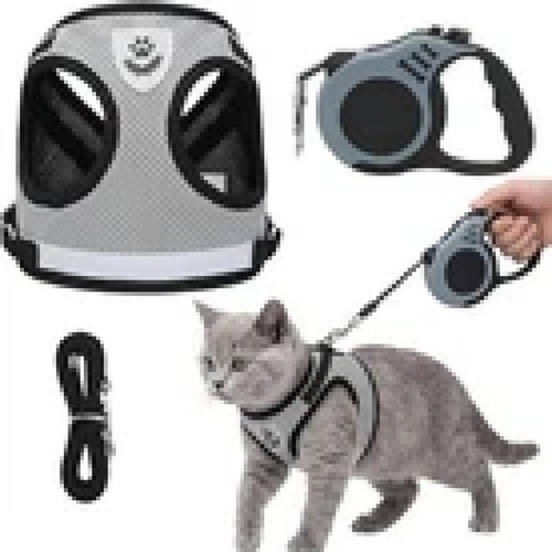 Katzen geschirr set mit - katzen,