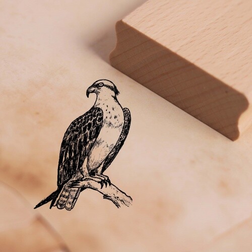 Motivstempel fischadler - fischadler,
