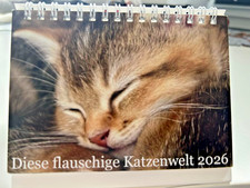 Katzen Tischkalender als