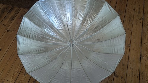 Profoto Deep L Silver Umbrella