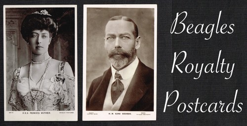 Beagles königtum 1900 - kÖnigtum,