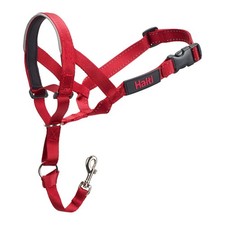 Dressurhalsband für hunde - dressurhalsband,