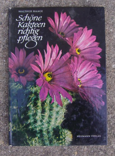 Schöne kakteen richtig - schöne,