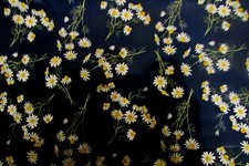 Stenzo Baumwolle mit