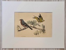 1852 Lithographie Kunstdruck