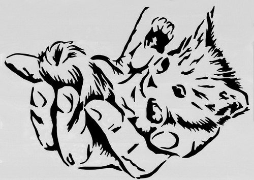 Katze mit hand - katze,