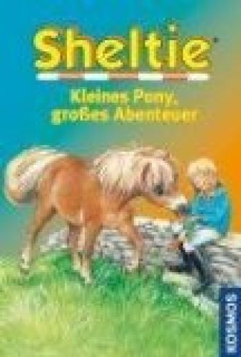 Sheltie kleines pony - sheltie,