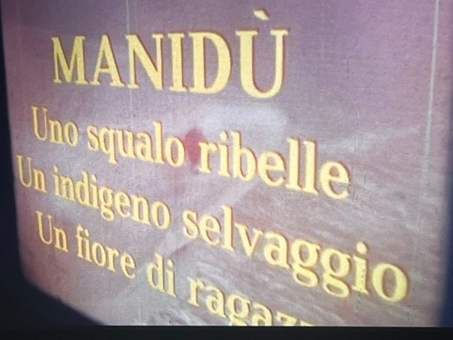 16mm film manidu ein - film,