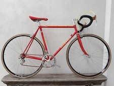 PALETTI Modena Gruppe