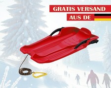 Schlitten Race Rodel