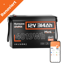 12V 300Ah Bluetooth LiFePO4 Akku Solar Batterie 100A BMS Off-Grid(⚠️Renoviert)