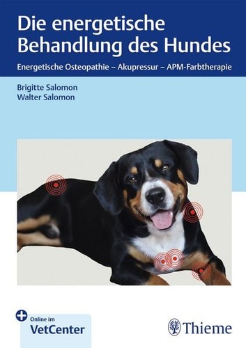 Die energetische behandlung - die,