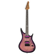 J&D DX-100DM E-Gitarre Plum