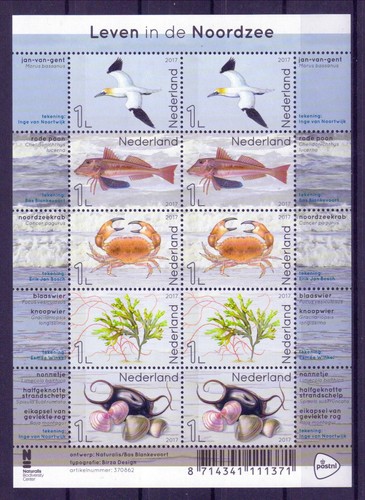 Niederlande fauna der nordsee - niederlande,