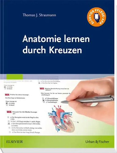 Anatomie lernen durch kreuzen - lernen,
