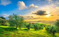 Wandbild panoramablick auf - wandbild:,