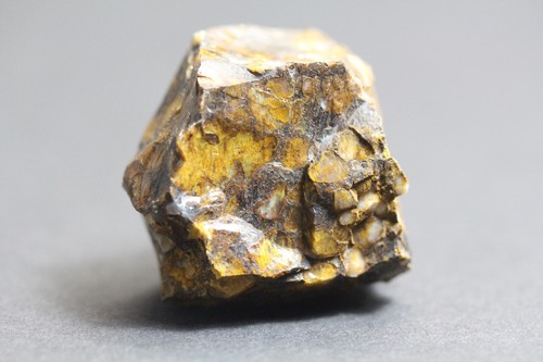 Pinatade guinea flow opal - pinatade, ein