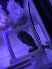 Aquarium Futterring, Maße