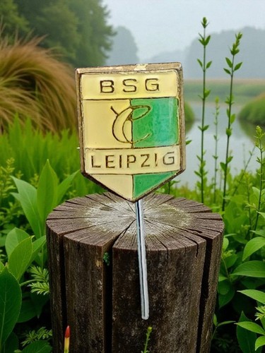 Alte anstecknadel bsg chemie - anstecknadel,
