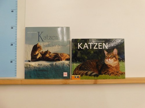 Bücher bildbände katze - 25,