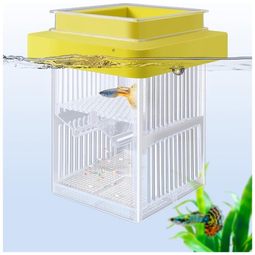 Aquarium zuchtbox zuchttank - aquarium, 13